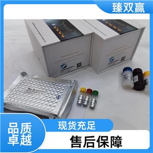 人核因子κB(NF-κB)ELISA试剂盒,Human NF-κB ELISA KIT