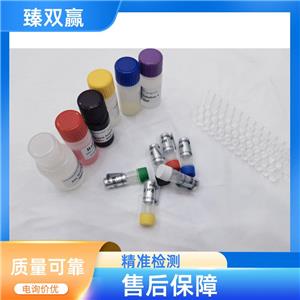 人甲胎蛋白(AFP)ELISA试剂盒,Human aFP ELISA KIT