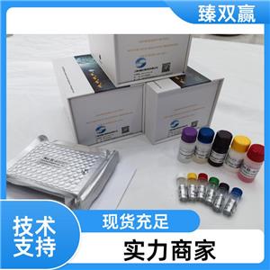 人甲胎蛋白(AFP)ELISA试剂盒,Human aFP ELISA KIT