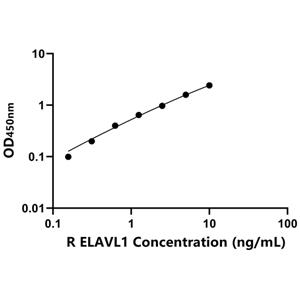 大鼠ELAV样蛋白1(ELAVL1)ELISA试剂盒,Rat ELAVL1 ELISA KIT
