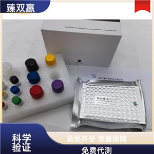 人水通道蛋白2(AQP-2)ELISA试剂盒,Human AQP-2 ELISA KIT