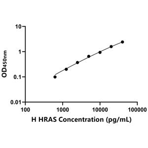 人V-Ha-Ras肉瘤病毒癌基因同源物(HRAS)ELISA试剂盒,Human HRAS ELISA KIT