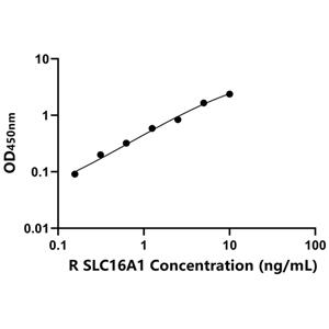 SLC16A1 ELISA KIT / 大鼠溶质载体家族16成员1 ELISA试剂盒