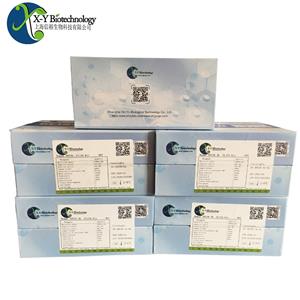 人ACAT1(乙酰辅酶A乙酰转移酶，线粒体)ELISA试剂盒,Human ACAT1(Acetyl-CoA acetyltransferase, mitochondrial) ELISA Kit