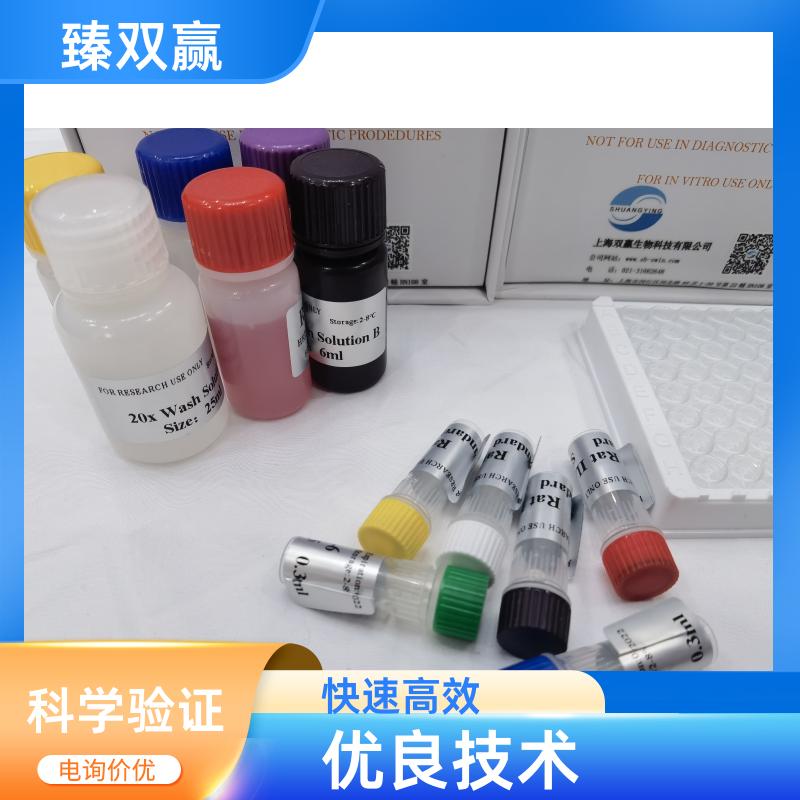 人Gremlin-1蛋白(GREM1)ELISA试剂盒,Human GREM1 ELISA KIT