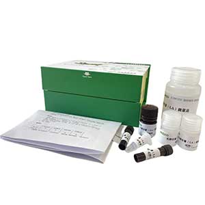 丁酰胆碱酯酶(B-CHE)测定试剂盒/比色法/24样,B-CHE ELISA KIT