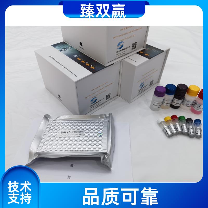 人泛素结合酶E2C结合蛋白E2L3(UBE2L3)ELISA试剂盒,Human UBE2L3 ELISA KIT