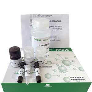 辅酶Ⅱ(NADP+/NADPH)含量测定试剂盒/比色法/24样,NADP ELISA KIT