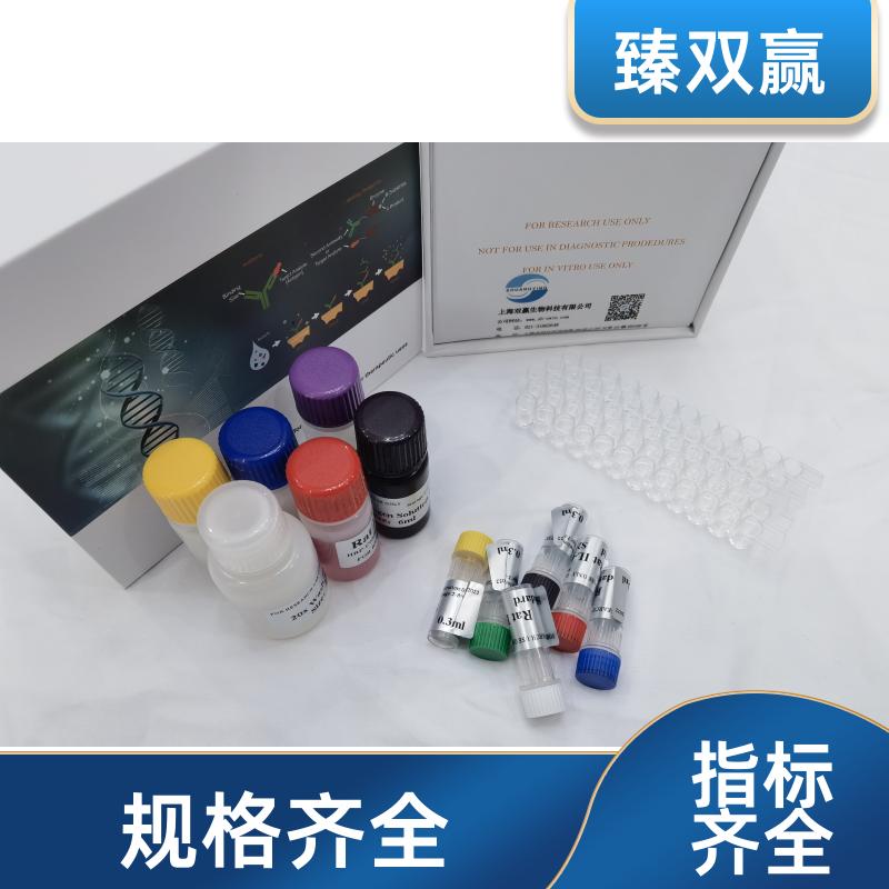 人骨成型蛋白3(BMP-3)ELISA试剂盒,Human BMP3 ELISA KIT
