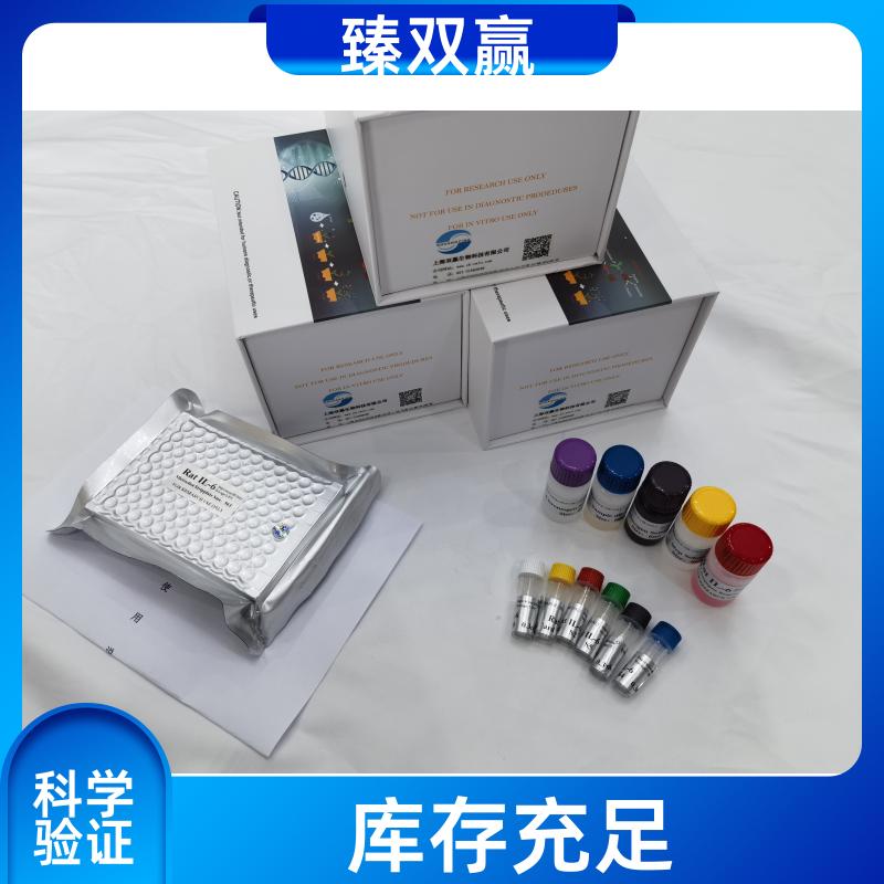 人斯钙素1(STC-1)ELISA试剂盒,Human STC-1 ELISA KIT