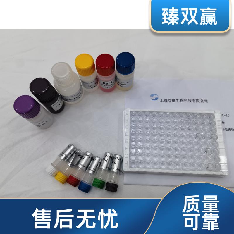 人c型凝集素域家族4成员G(CLEC4G)ELISA试剂盒,Human CLEC4G ELISA KIT