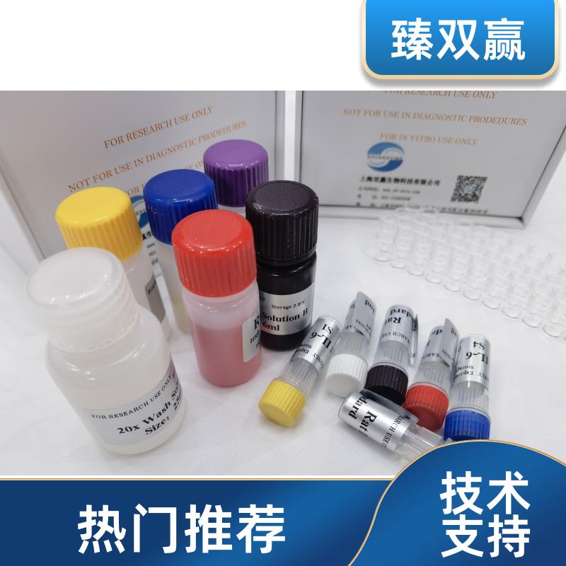 人白细胞介素17C(IL-17C)ELISA试剂盒,Human IL-17C ELISA KIT