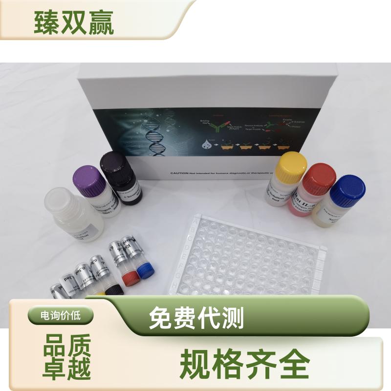 人AKT蛋白(AKT)ELISA试剂盒,Human AKT ELISA KIT