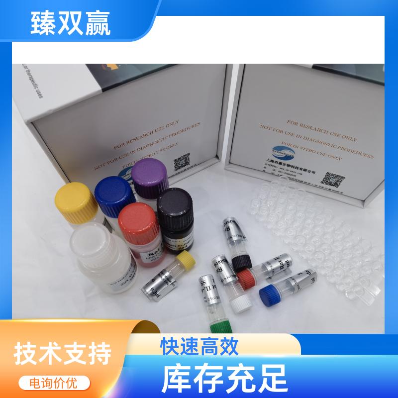 人成纤维细胞生长因子5(FGF-5)ELISA试剂盒,Human FGF-5 ELISA KIT