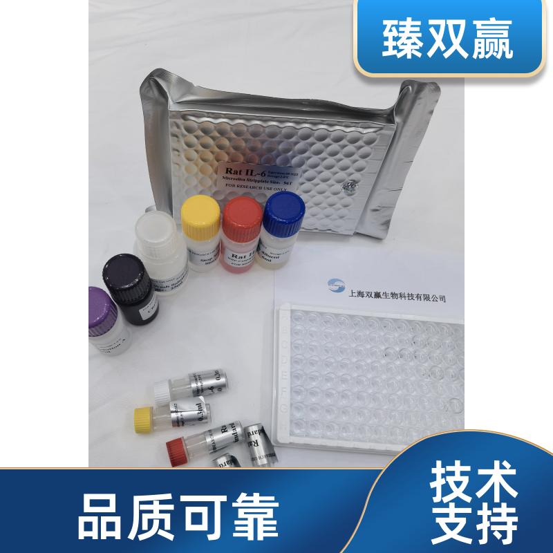 人分泌型卷曲相关蛋白2(sFRP-2)ELISA试剂盒,Human sFRP-2 ELISA KIT