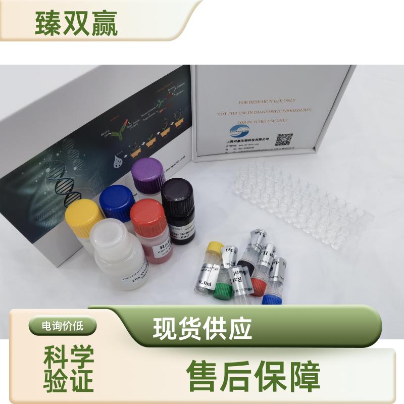 人线粒体外膜转位酶70A(TOMM70A)ELISA试剂盒,Human TOMM70A ELISA KIT
