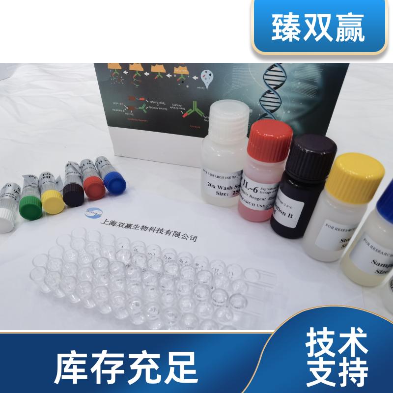 人细胞毒性T-淋巴细胞关联抗原4(CTLA4)ELISA试剂盒,Human CTLA4 ELISA KIT