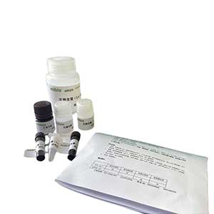 谷胱甘肽还原酶(GR)测定试剂盒/比色法/50管,GR ELISA KIT