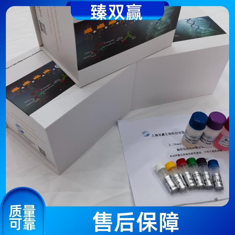 人细胞色素P450氧化还原酶(CPR)ELISA试剂盒,Human CPR ELISA KIT