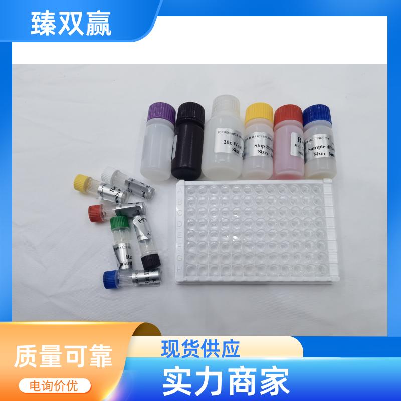人核因子κB抑制因子α(IkBα)ELISA试剂盒,Human IkBα ELISA KIT
