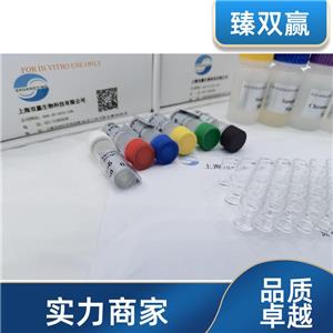 人CXC趋化因子受体4(CXCR4)ELISA试剂盒,Human CXCR4 ELISA KIT