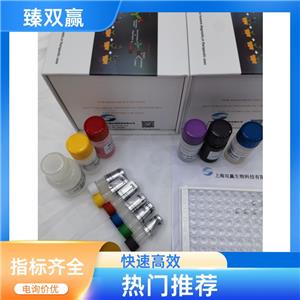 人核因子κB(NF-κB)ELISA试剂盒,Human NF-κB ELISA KIT