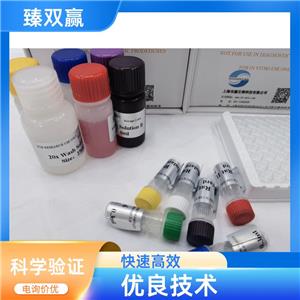 人Gremlin-1蛋白(GREM1)ELISA试剂盒