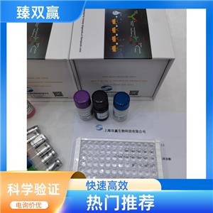 人Gremlin-1蛋白(GREM1)ELISA试剂盒,Human GREM1 ELISA KIT