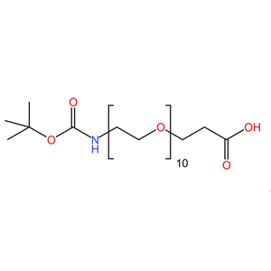叔丁基-氨基-十乙二醇-丙酸  99%