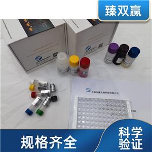 人Ⅺ型胶原α1(COL11α1)ELISA试剂盒