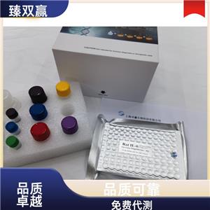 人IgG-Fc片段受体Ⅱ(FcgRⅡ)ELISA试剂盒,Human FcgRⅡ ELISA KIT