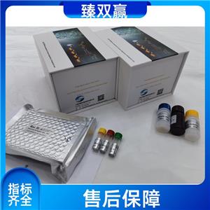 人L1细胞粘附分子(L1CAM)ELISA试剂盒,Human L1CAM ELISA KIT