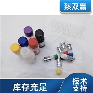 人la核糖核蛋白结构域家族成员7(larp7)ELISA试剂盒,Human larp7 ELISA KIT