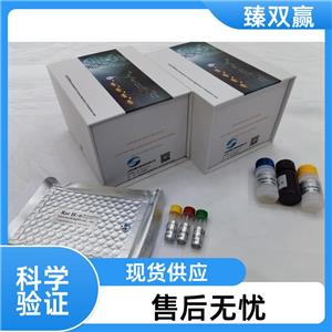人高迁移率族蛋白B1(HMGB-1)ELISA试剂盒,Human HMGB-1 ELISA KIT