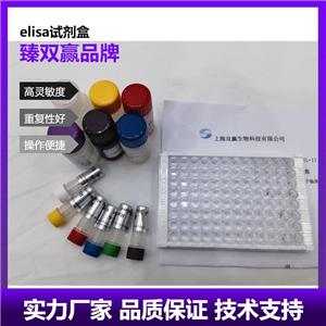 人i型胶原α1链前体(pro-col1a1)ELISA试剂盒