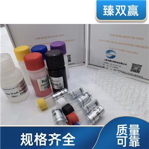 人核受体亚家族1D组成员1(NR1D1)ELISA试剂盒,Human NR1D1 ELISA KIT