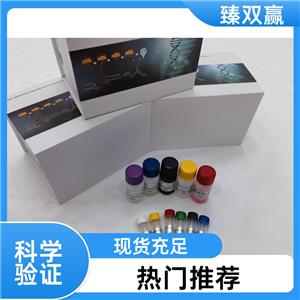 人无孢蛋白(ASPN)ELISA试剂盒