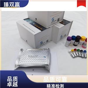 人整合素β3(ITGβ3)ELISA试剂盒,Human ITGβ3 ELISA KIT
