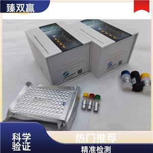 人整合素β1(ITGβ1)ELISA试剂盒,Human ITGβ1 ELISA KIT