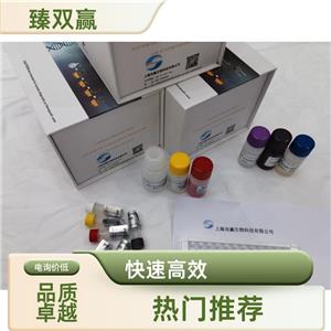人骨成型蛋白4(BMP4)ELISA试剂盒,Human BMP4 ELISA KIT