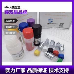  人纤连蛋白亮氨酸丰富跨膜蛋白2(FLRT2)ELISA试剂盒