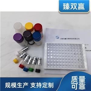 人电碳酸氢钠协同转运蛋白4(NBC4)ELISA试剂盒