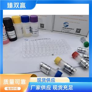 人DNA甲基转移酶1(DNMT1)ELISA试剂盒,Human DNMT1 ELISA KIT
