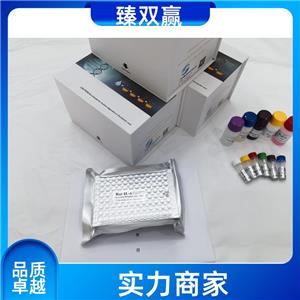 人白细胞介素12B(IL-12B)ELISA试剂盒,Human IL-12B ELISA KIT