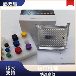 人I型胶原α1链(COL1A1)ELISA试剂盒,Human COL1A1 ELISA KIT