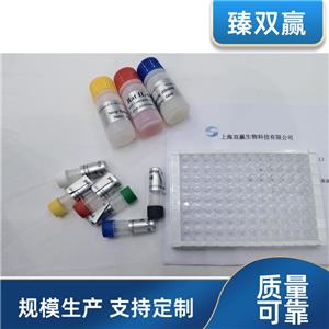 人成纤维细胞生长因子3(FGF-3)ELISA试剂盒,Human FGF-3 ELISA KIT