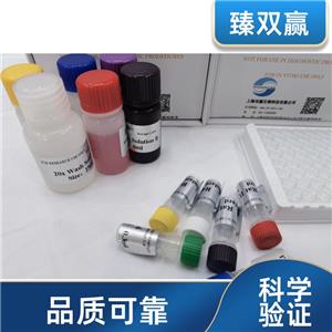 人成纤维细胞生长因子4(FGF-4)ELISA试剂盒,Human FGF-4 ELISA KIT