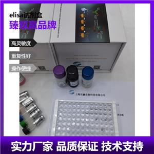 人成纤维细胞生长因子5(FGF-5)ELISA试剂盒,Human FGF-5 ELISA KIT