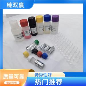 人几丁质酶3样蛋白1(YKL-40;CHI3L1)ELISA试剂盒,Human YKL-40;CHI3L1 ELISA KIT