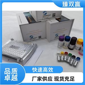 人分泌型免疫球蛋白A(sIgA)ELISA试剂盒,Human sIgA ELISA KIT